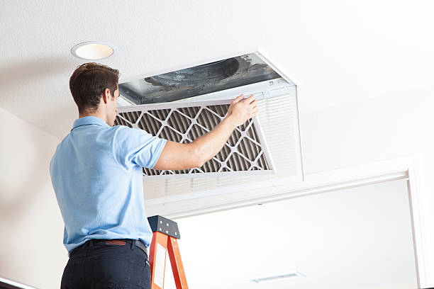 Best HVAC Tune-Up Services  in Badger, AK